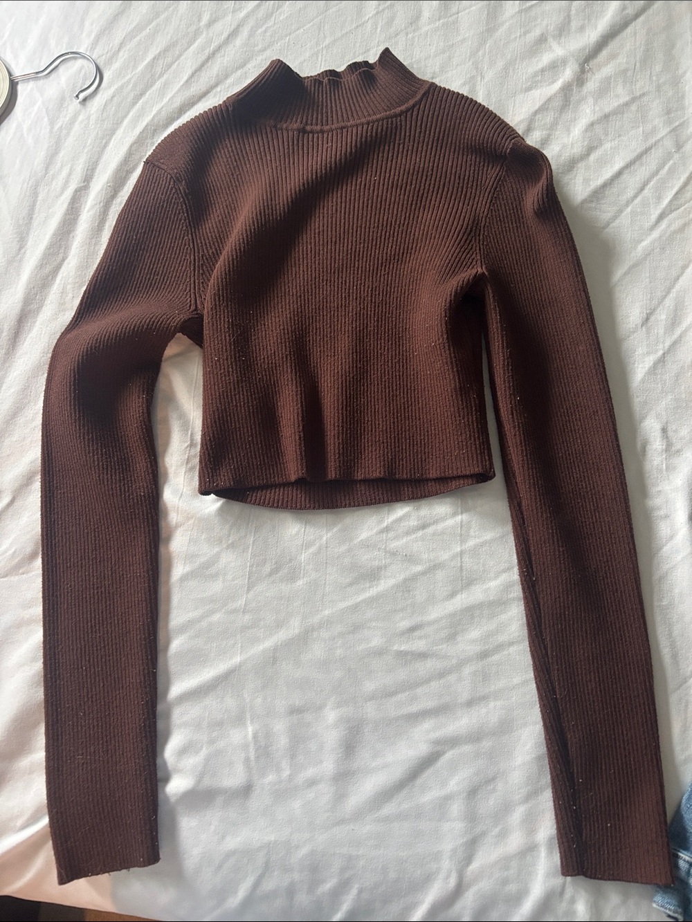 Divided Chocolate Brown Ribbed Cropped Mock Neck Long Sleeve Top